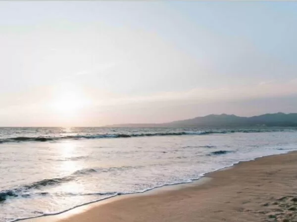  Las mejores cosas para hacer en Nuevo Vallarta 
