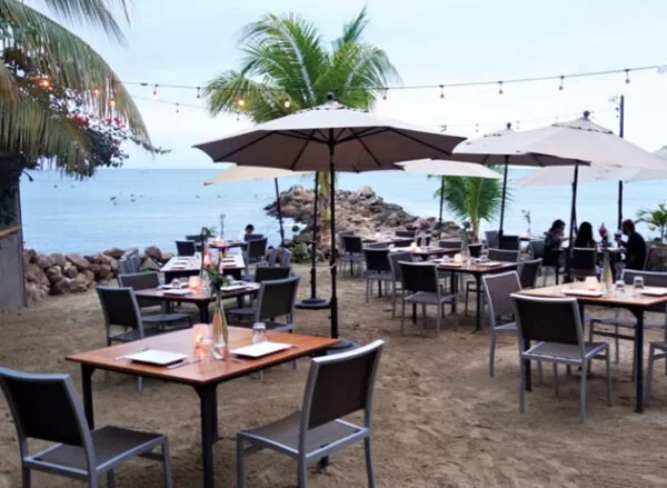  comer y beber en Punta de Mita 