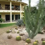 Hotels in lo de Marcos Riviera Nayarit Mexico
